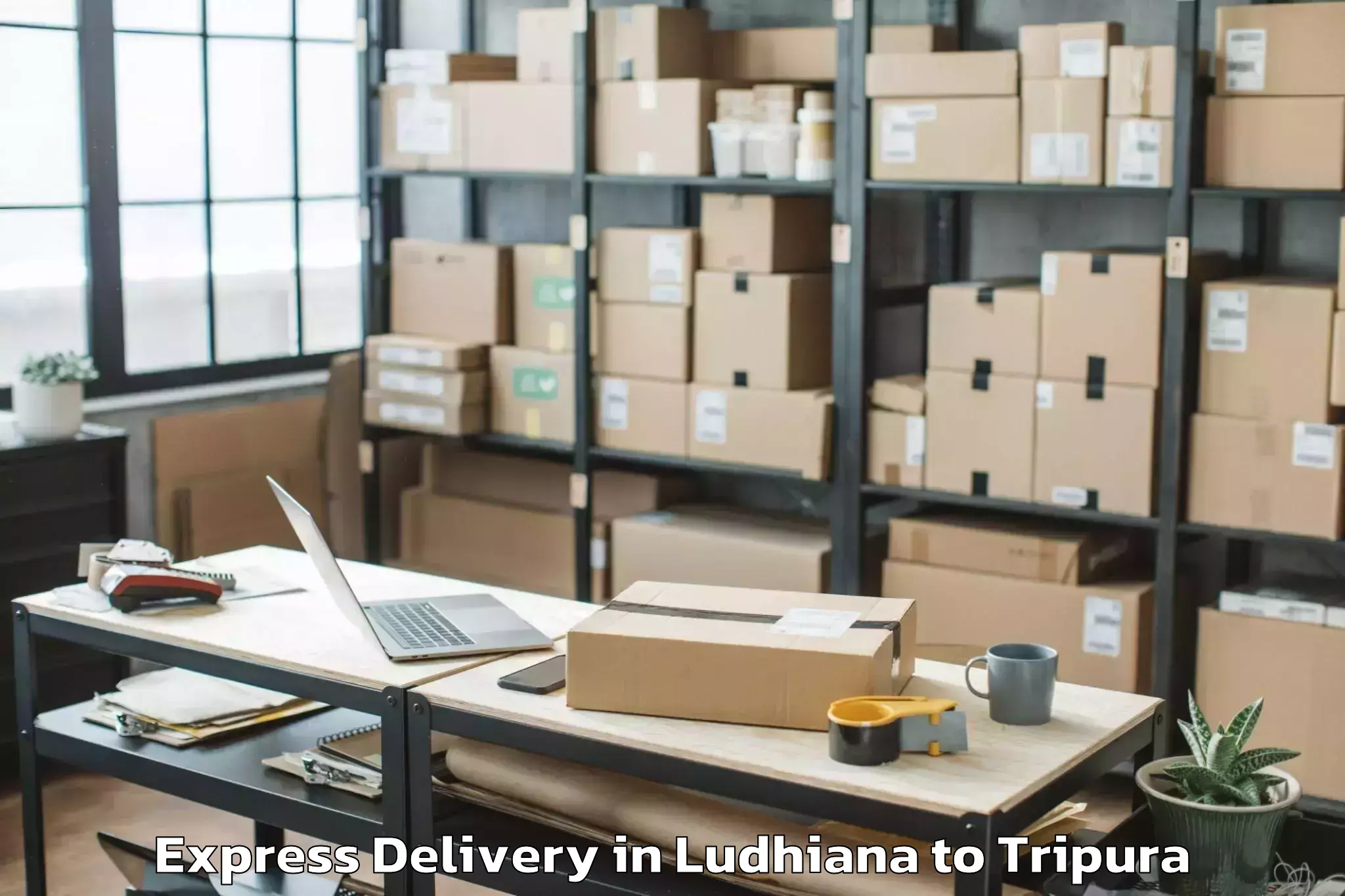 Get Ludhiana to Khowai Express Delivery